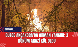 Düzce Akçakoca'da Orman Yangını: 3 Dönüm Arazi Kül Oldu