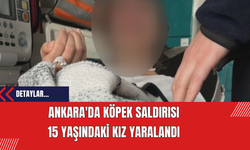 Ankara'da Köpek Saldırısı: 15 Yaşındaki Kız Yaralandı
