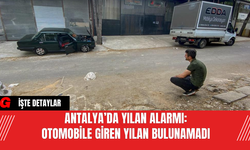 Antalya’da Yılan Alarmı: Otomobile Giren Yılan Bulunamadı