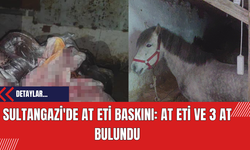Sultangazi'de At Eti Baskını: At Eti ve 3 At Bulundu