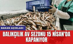 Bakan açıkladı: Balıkçılık av sezonu 15 Nisan'da kapanıyor