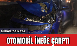 Bingöl'de Otomobil İneğe Çarptı