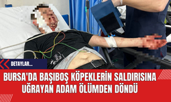 Bursa'da Başıboş Köpeklerin Saldırısına Uğrayan Adam Ölümden Döndü