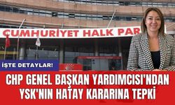CHP Genel Başkan Yardımcısı'ndan YSK'nın Hatay kararına tepki