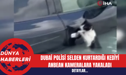 Dubai Polisi Selden Kurtardığı Kediyi Anbean Kameralara Yakaladı