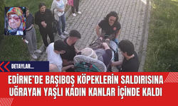 Edirne’de Başıboş Köpeklerin Saldırısına Uğrayan Yaşlı Kadın Kanlar İçinde Kaldı