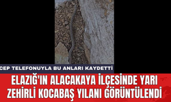 Elazığ'ın Alacakaya ilçesinde yarı zehirli kocabaş yılanı görüntülendi