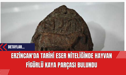 Erzincan'da Tarihi Eser Niteliğinde Hayvan Figürlü Kaya Parçası Bulundu
