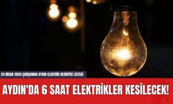 Aydın'da 6 Saat Elektrikler Kesilecek! 24 Nisan 2024 Çarşamba Aydın Elektrik Kesintisi Listesi