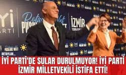 İYİ Parti'de Sular Durulmuyor! İYİ Parti İzmir Milletvekili İstifa Etti!