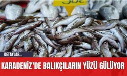Karadeniz'de Balıkçıların Yüzü Gülüyor