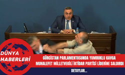Gürcistan Parlamentosunda Yumruklu Kavga: Muhalefet Milletvekili İktidar Partisi Liderine Saldırdı