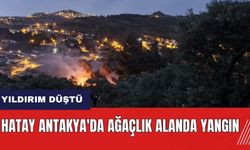 Hatay Antakya'da yıldırım düşen ağaçlık alanda yangın
