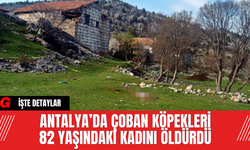 Antalya’da Çoban Köpekleri 82 Yaşındaki Kadını Öldürdü