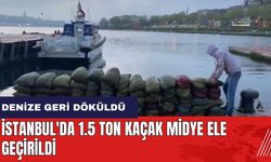 İstanbul'da 1.5 ton kaçak midye ele geçirildi