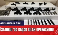 İstanbul’da kaçak silah operasyonu! 10 silah ele geçirildi