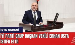 İYİ Parti Grup Başkan vekili Erhan Usta istifa etti! İşte nedeni