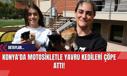 Konya'da Motosikletle Yavru Kedileri Çöpe Attı!