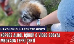 Köpeğe alkol içirdi! O video sosyal medyada tepki çekti