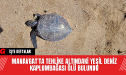 Manavgat'ta Tehlike Altındaki Yeşil Deniz Kaplumbağası Ölü Bulundu