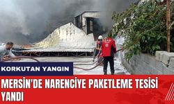 Mersin'de narenciye paketleme tesisi yandı