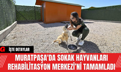 Muratpaşa'da Sokak Hayvanları Rehabilitasyon Merkezi’ni Tamamladı