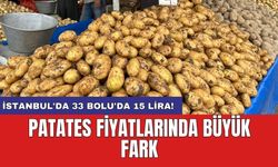Patates fiyatlarında büyük fark: İstanbul'da 33 Bolu'da 15 lira!