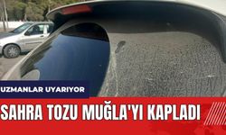 Sahra tozu Muğla'yı kapladı