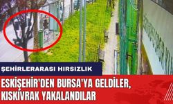Şehirlerarası hırsızlık! Eskişehir'den Bursa'ya geldiler kıskıvrak yakalandılar