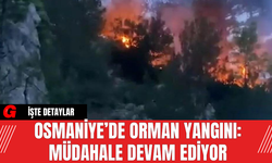Osmaniye’de Orman Yangını: Müdahale Devam Ediyor