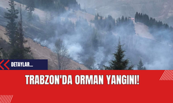 Trabzon'da Orman Yangını!