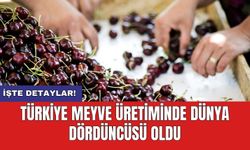 Türkiye meyve üretiminde Dünya dördüncüsü oldu