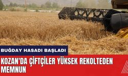 Adana Kozan'da buğday hasadı başladı! Çiftçiler yüksek rekolteden memnun