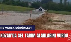Adana Kozan'da sel tarım alanlarını vurdu