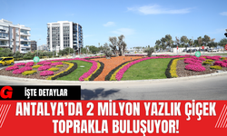 Antalya’da 2 Milyon Yazlık Çiçek Toprakla Buluşuyor!