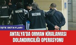 Antalya'da orman kiralaması dolandırıcılığı operasyonu: 2 tutuklama