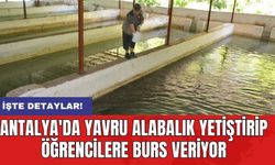 Antalya'da yavru alabalık yetiştirip öğrencilere burs veriyor