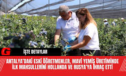 Antalya’daki Eski Öğretmenler, Mavi Yemiş Üretiminde İlk Mahsullerini Hollanda ve Rusya’ya İhraç Etti