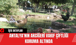 Antalya’nın Akciğeri Vakıf Çiftliği Koruma Altında