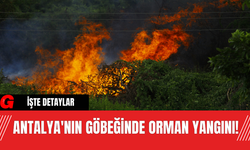 Antalya'nın Göbeğinde Orman Yangını!