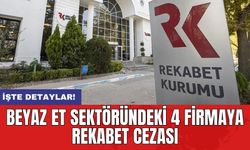 Beyaz et sektöründeki 4 firmaya rekabet cezası