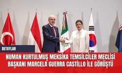 Numan Kurtulmuş Meksika Temsilciler Meclisi Başkanı Marcela Guerra Castillo ile Görüştü