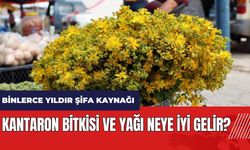 Binlerce yıldır şifa kaynağı kantaron neye iyi gelir?