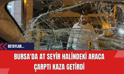 Bursa'da At Seyir Halindeki Araca Çarptı Kaza Getirdi