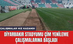 Diyarbakır Stadyumu çim yenileme çalışmalarına başladı