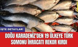Doğu Karadeniz'den 19 Ülkeye Türk somonu ihracatı rekor kırdı