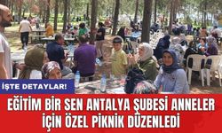 Eğitim Bir Sen Antalya Şubesi Anneler İçin Özel Piknik Düzenledi
