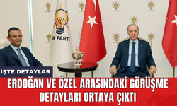 Erdoğan ve Özel arasındaki görüşme detayları ortaya çıktı