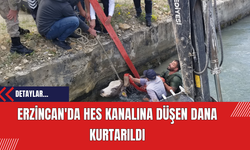 Erzincan'da HES Kanalına Düşen Dana Kurtarıldı