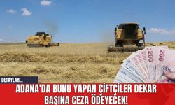 Adana'da Bunu Yapan Çiftçiler Dekar Başına Ceza Ödeyecek!
